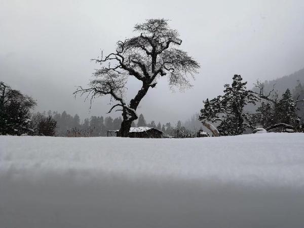 山东省委批准,祝晖履新